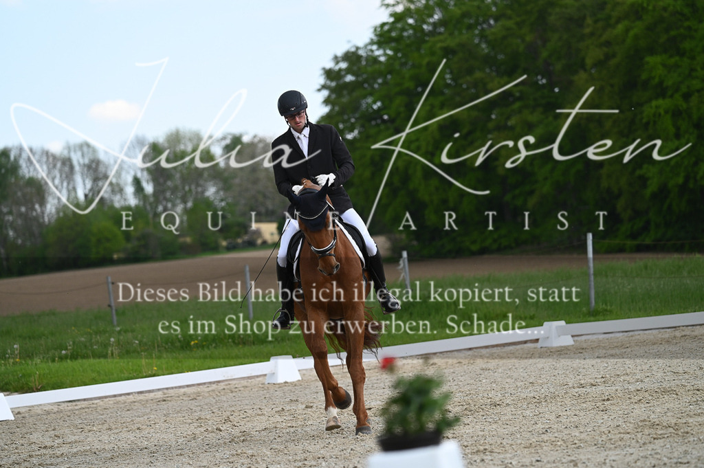 20230512_JK-Röhrsdorf-03-041 | Pferde- und Turnierfotografie in Westsachsen. Pferdeportraits, Auftragszeichnungen und intuitive Kunst.
