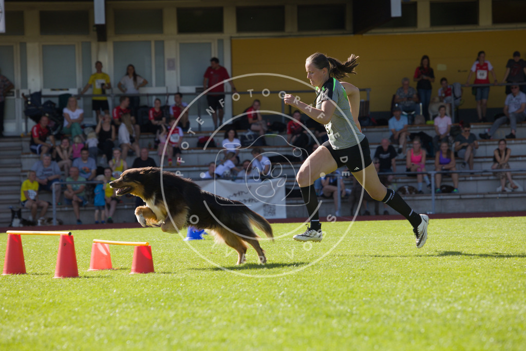 0L8A8154 | Hundefotografie, Tierfotograf, Pfotenfotografie, Fotoshooting Hund, Hunde Portrait, Hundesport, Hundeportraits, Heideshooting, Hunde, Sportfotograf, Hundefotograf, Turnierhundsport, THS,  - Realisiert mit Pictrs.com