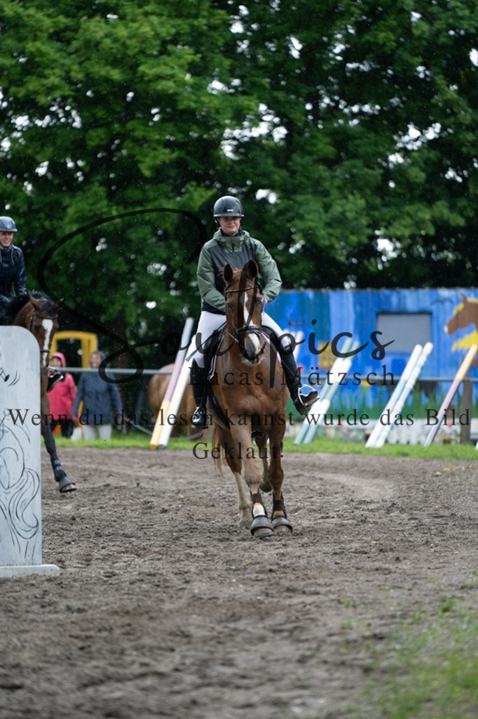 A7V05071 | Pferdefotograf