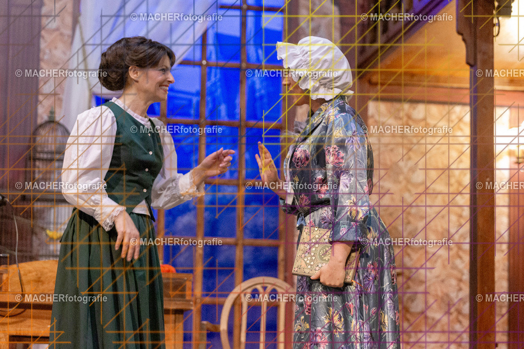 229_MFL-2025 | Portraitbilder von Regisseur; Darsteller; Techniker; Maske; Kostüme; Chor; Musiker; Bilderserie der Generalprobe und der Premierenvorstellung, Szenenbilder; Ausdrucksstudien; Bühnenüberblick; Bühnenkulissen; Pressefotos inkl. Redaktionsfoto Darstellergruppe.