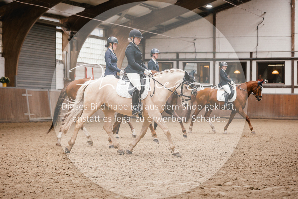 3I6A7846 | Stimmungsvolle Portraits und Reitsportfotografie im Ruhrgebiet und im Münsterland.

Pferdefotografie, Hundefotografie, Tierfotografie, Reportagen, Portraits von Tier und Mensch, Turnierfotografie in Bochum, Recklinghausen, Marl, Haltern am See, Dülmen.. - Realisiert mit Pictrs.com