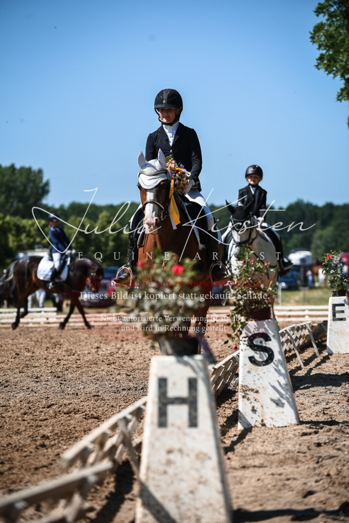 DSC_3692 | Pferde- und Turnierfotografie in Westsachsen. Pferdeportraits, Auftragszeichnungen und intuitive Kunst.