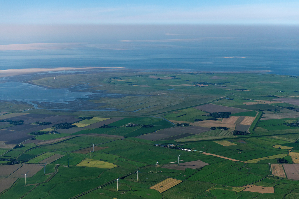 dr__0202064.jpg | WESTERHEVER 06.09.2023 Grasflächen- Strukturen einer Feld- und Wiesen- Landschaft mit Prielbildung an der Straße Süderdeich in Westerhever im Bundesland Schleswig-Holstein, Deutschland. 