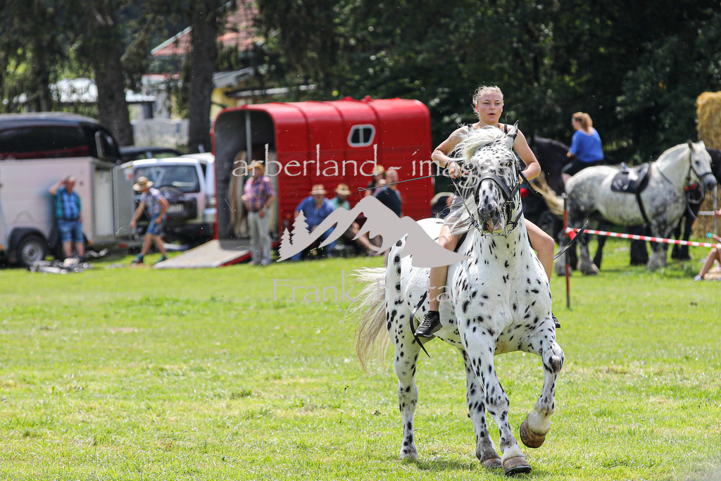 OE7A4138 | Beim Zugpferdetreffen in Poschedtsried galt es verschiedene Wettbewerbe zu meistern, Einzelrennen im Reiten, Traktorpulling und auch ein Hunderennen wurde veranstaltet