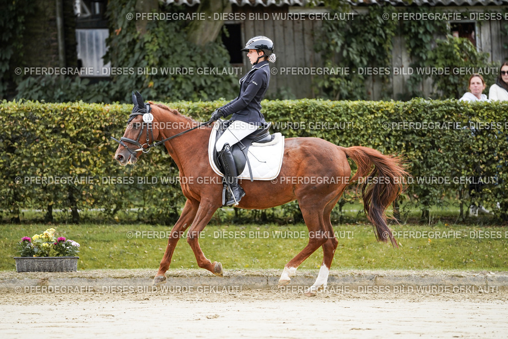 DSC04739 | Pferdegrafie