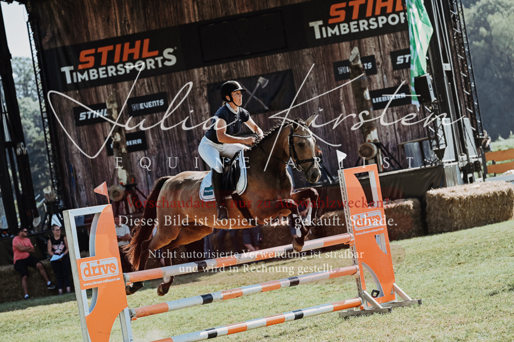 DSC_5943 | Pferde- und Turnierfotografie in Westsachsen. Pferdeportraits, Auftragszeichnungen und intuitive Kunst.