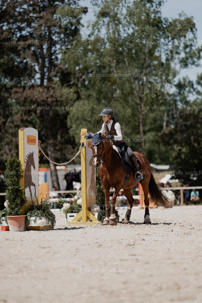 WE_SP_Stoib_342_PI2025_1817 | Pferd International München 2025