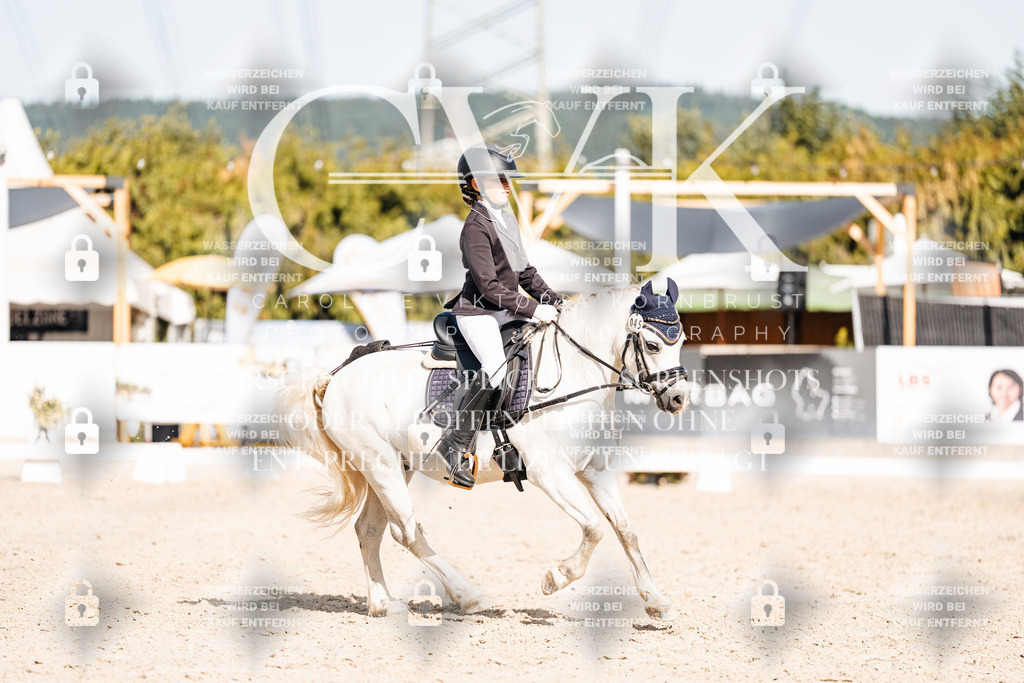 CK905739 | Turnierfotografie Pferdefotografie Trier Rheinland-Pfalz Pferdesport Reitsport Tierfotografie Sportfotografie Pferdevideo Pferdevideografie Equestrianvideography equestrianphotography  - Realisiert mit Pictrs.com