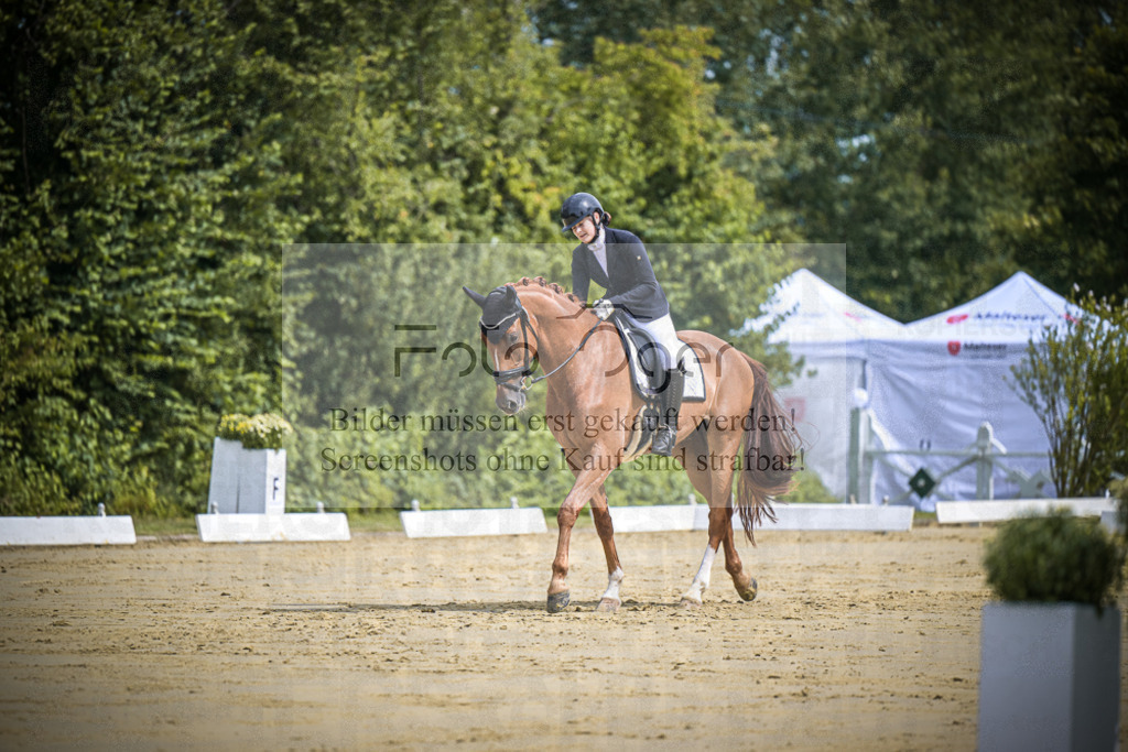 DOS_0002 | Entdecke hochwertige Reitturnierfotos von Foto Oger. Professionell, emotional und authentisch – jetzt Lieblingsmomente im Shop bestellen.Deutschlandweite Turnierfotografie. - Realisiert mit Pictrs.com
