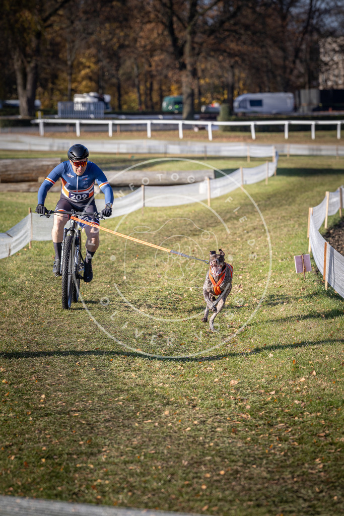 CaniXpix_DV3A3030 | Hundefotografie, Tierfotograf, Pfotenfotografie, Fotoshooting Hund, Hunde Portrait, Hundesport, Hundeportraits, Heideshooting, Hunde, Sportfotograf, Hundefotograf, Turnierhundsport, THS,  - Realisiert mit Pictrs.com