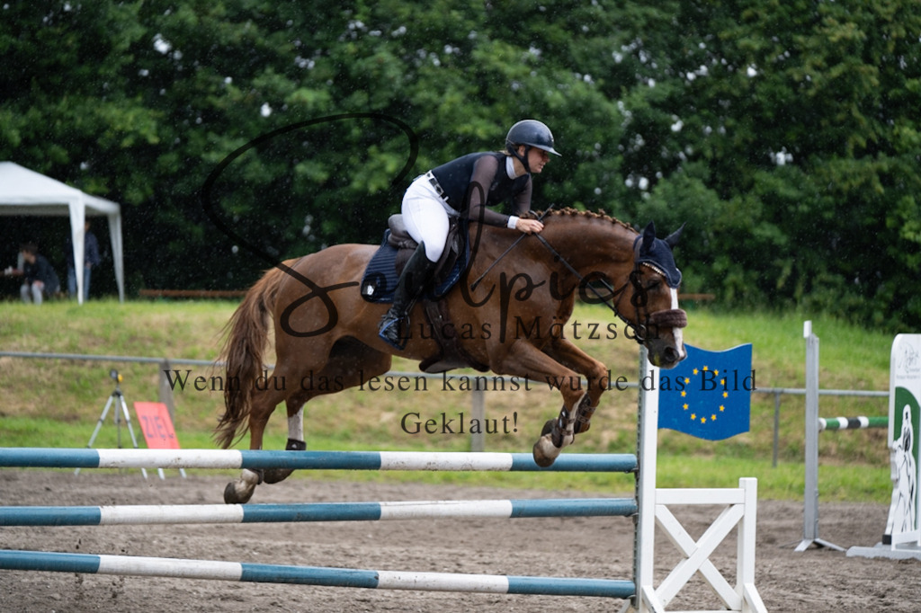 A7V05047 | Pferdefotograf