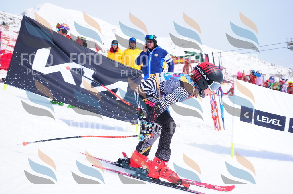 DSC_2179 | holidayphoto