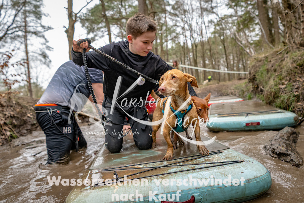 1246DSC_8162-2 | kk-dogfotos