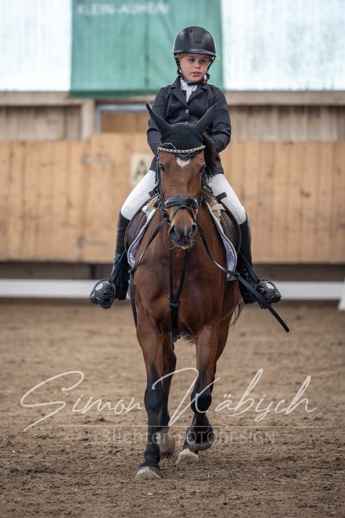 20251011-_3LI8277 | Tierfotografie Pferde, Hunde, Katzen, Haustiere.
Turnierfotografie Reitturniere, Reiten, Springreiten, Dressur in Hanau, dem Main-Kinzig-Kreis und dem Rhein-Main- Gebiet um Frankfurt