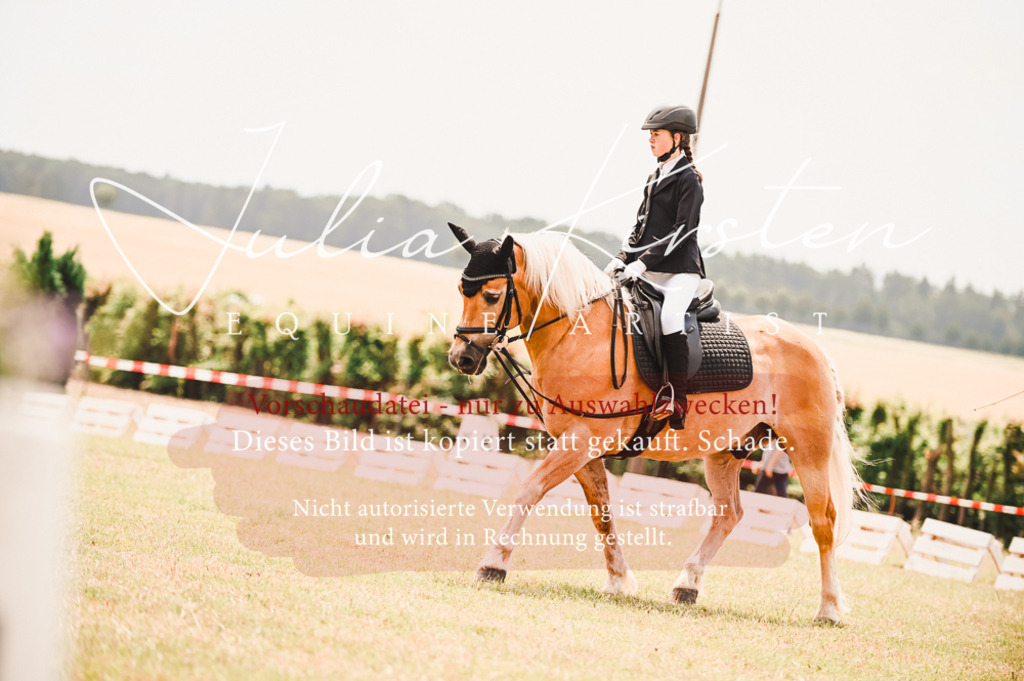 DSC_6201 | Pferde- und Turnierfotografie in Westsachsen. Pferdeportraits, Auftragszeichnungen und intuitive Kunst.