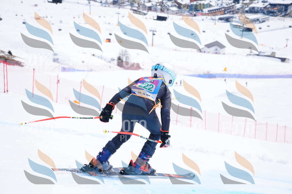 DSC_2031 | holidayphoto