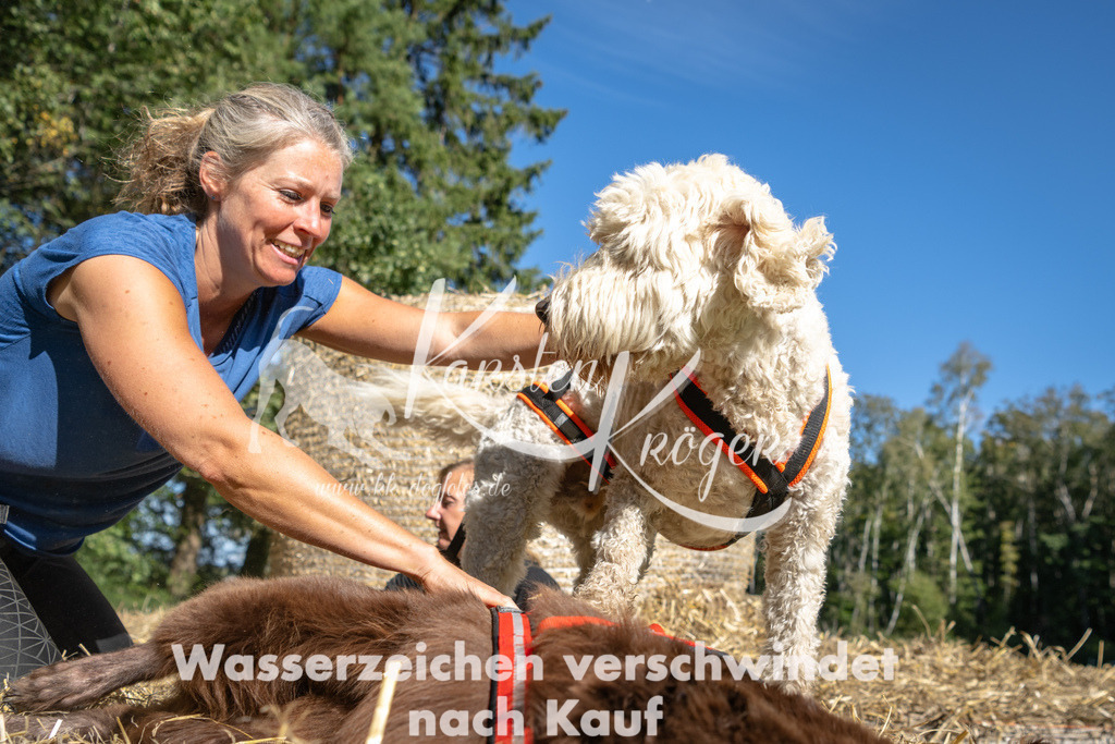 1216_ZZ91106-2 | kk-dogfotos