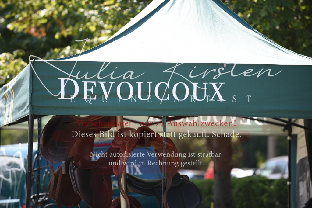 DSC_8882 | Pferde- und Turnierfotografie in Westsachsen. Pferdeportraits, Auftragszeichnungen und intuitive Kunst.