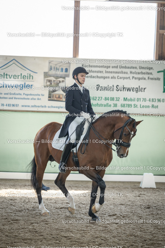 _D5A9741 | Emotionale Pferde- & People-Fotografie rund um Heidelberg, Leimen & Umgebung. Natürliche Fotos von Pferd, Mensch & Familie. Jetzt Termin sichern!