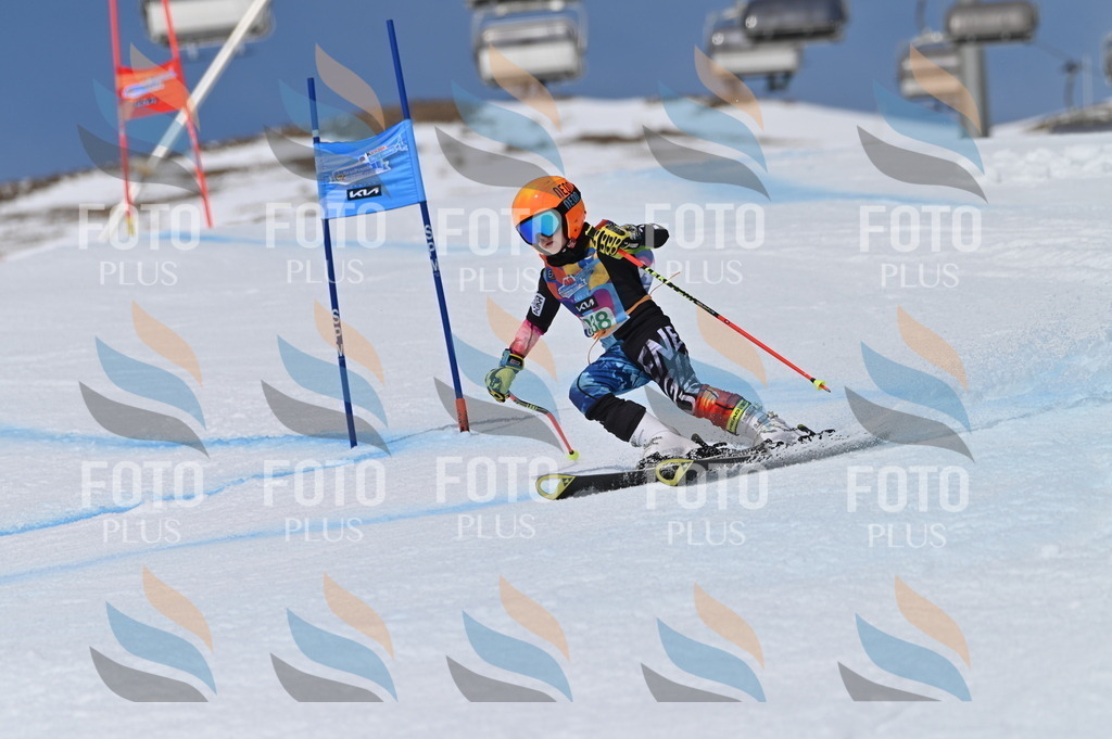 BGV_6699 | holidayphoto