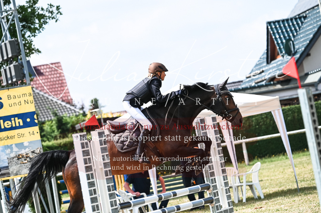 DSC_9269 | Pferde- und Turnierfotografie in Westsachsen. Pferdeportraits, Auftragszeichnungen und intuitive Kunst.