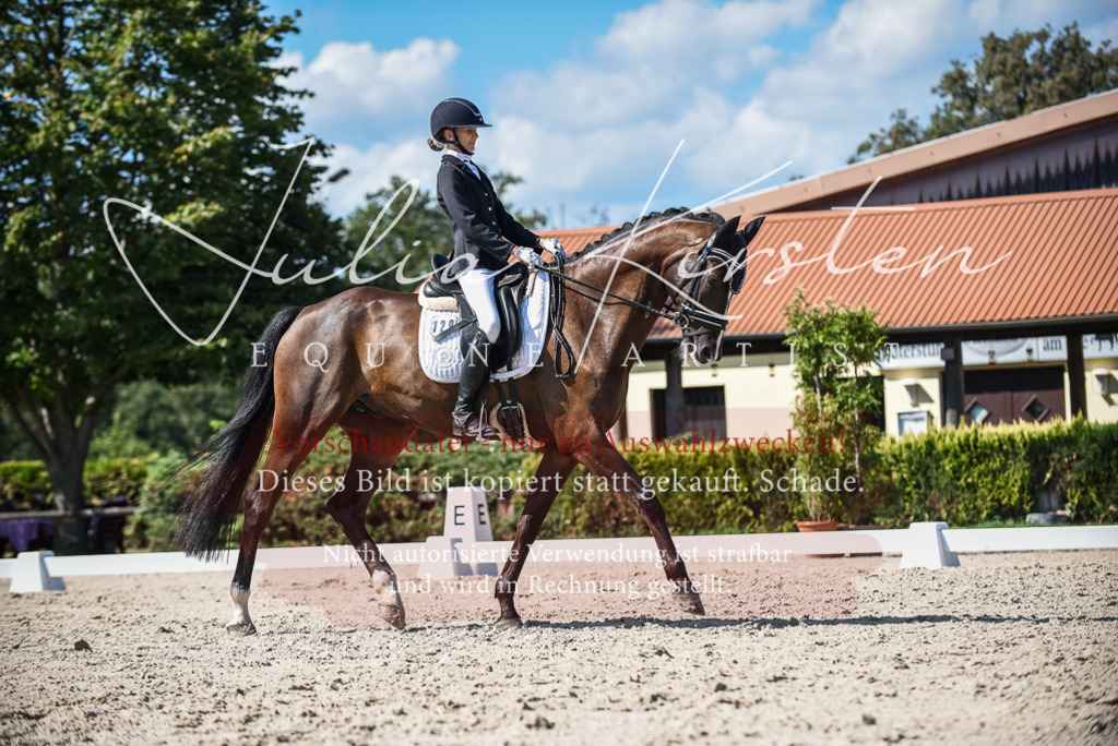 DSC_9587 | Pferde- und Turnierfotografie in Westsachsen. Pferdeportraits, Auftragszeichnungen und intuitive Kunst.