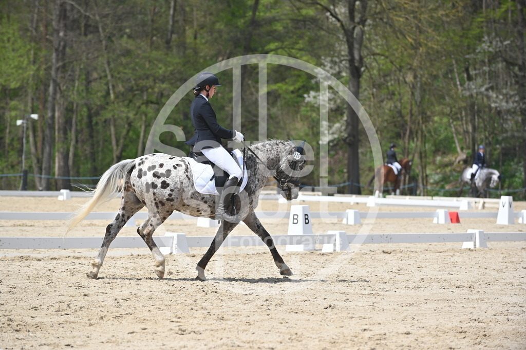 DSC_2307 | sattelsport - Realisiert mit Pictrs.com