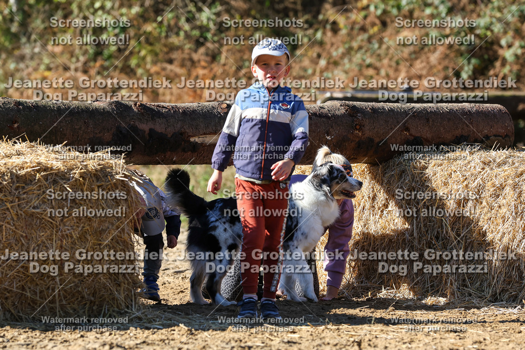 Dog Paparazzi - Strongdog 10-25-2720 | Dog Paparazzi Jeanette Grottendiek Fotografie & Videografie - Realisiert mit Pictrs.com