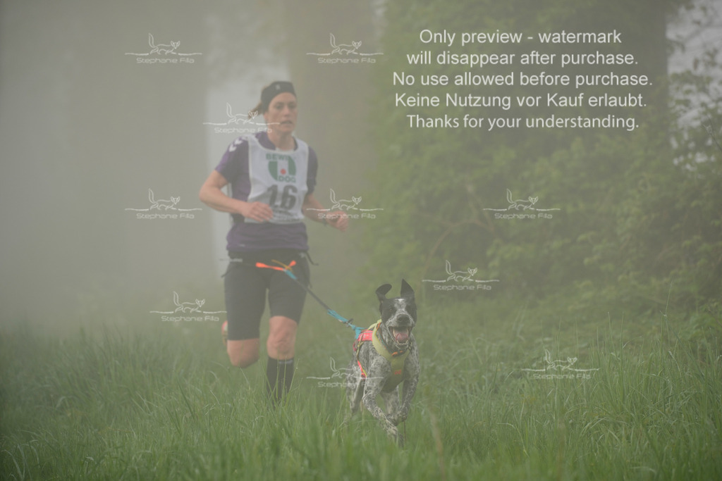 SA_GL2-87 | stephaniefillaphotographie - Realisiert mit Pictrs.com