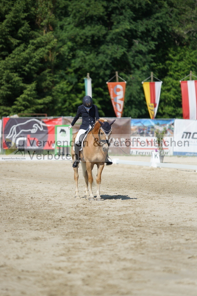 DSC02973 | equestrian-live-com