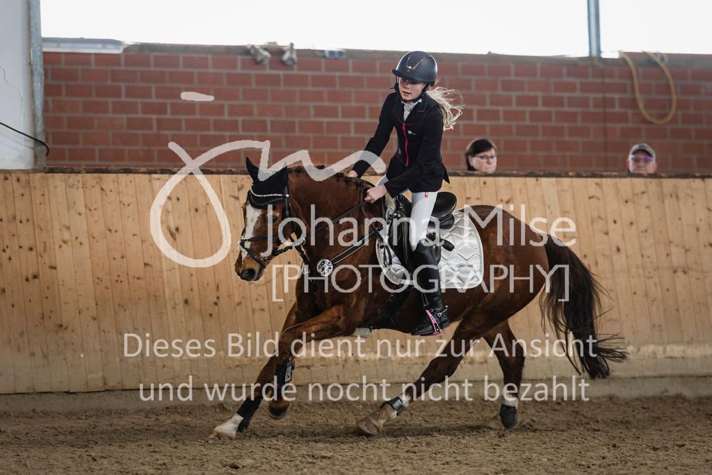 240316_Borgholzhausen_StilspringWB-436 | Deine schönsten Turniermomente als professionelle Fotos! Entdecke hochwertige Pferdesport-Fotografie im Online-Shop. Jetzt Fotos finden & bestellen!