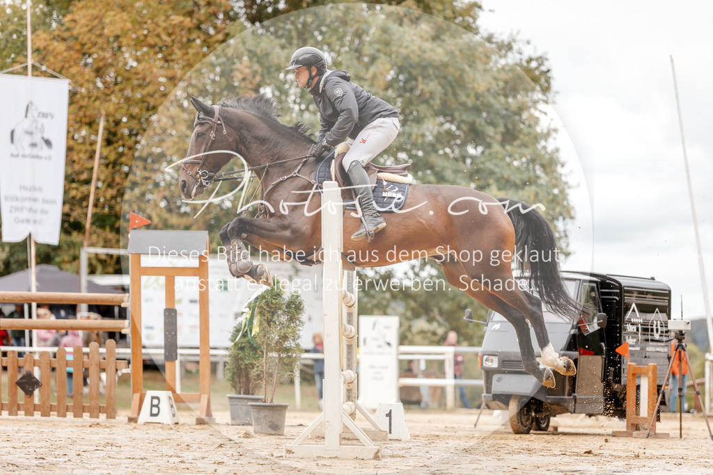 3I6A8452 | Stimmungsvolle Portraits und Reitsportfotografie im Ruhrgebiet und im Münsterland.

Pferdefotografie, Hundefotografie, Tierfotografie, Reportagen, Portraits von Tier und Mensch, Turnierfotografie in Bochum, Recklinghausen, Marl, Haltern am See, Dülmen.. - Realisiert mit Pictrs.com