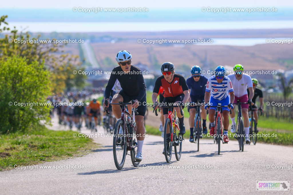 TRA_0963 | Neusiedlersee Radmarathon 2026@sportshot_your_pictrs #yourpictures#roadtowm2029 #nrm #neusiedlerseeradmarathon #neusiedlersee #neusiedlerseetourismus #burgenland #mörbisch #nrm26 #burgenlandtourismus #voglundco #poweredbyburgenlandtourismus #radsport #rad #marathon #ucigranfondo #visitburgenland #ucigranfondoworldseries