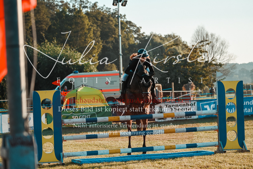 DSC_3715 | Pferde- und Turnierfotografie in Westsachsen. Pferdeportraits, Auftragszeichnungen und intuitive Kunst.