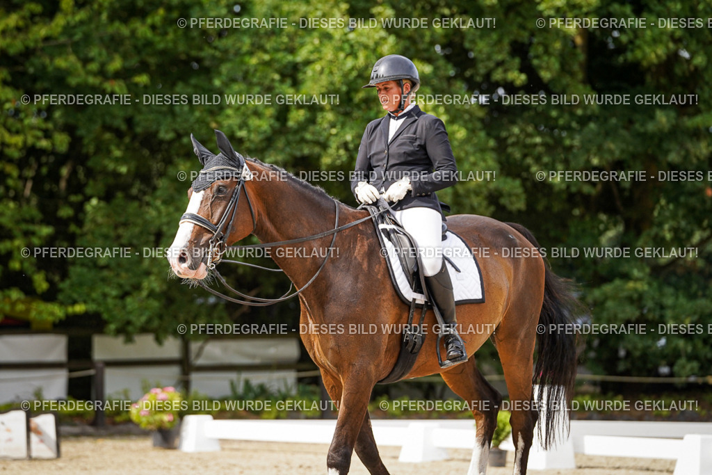 DSC06634 | Pferdegrafie