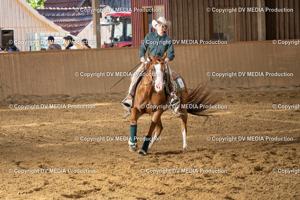 DSC00070 | dv-media-shop - Realisiert mit Pictrs.com