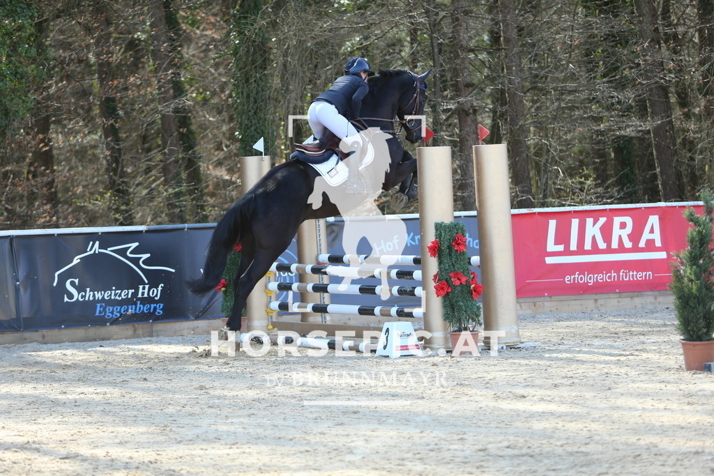 DL2Q3379 | Willkommen bei Brunnmayr - Design & Fotografie – Ihrem Spezialisten für Reitturniere und Pferdeveranstaltungen in Oberösterreich, Salzburg und Bayern! Seit über 17 Jahren sind wir leidenschaftlich dabei.