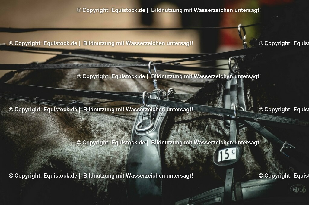 20240203_FEI-Driving-World-Cup_0013 | Foto: Thomas Hartig