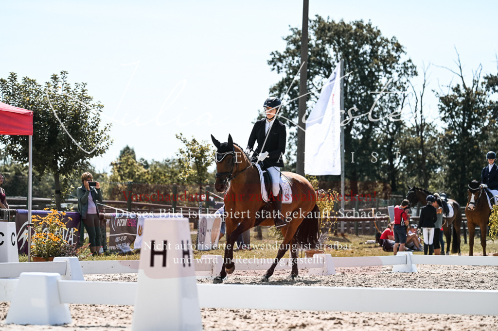 DSC_5496 | Pferde- und Turnierfotografie in Westsachsen. Pferdeportraits, Auftragszeichnungen und intuitive Kunst.