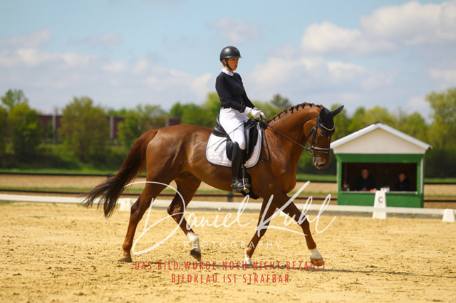 DKP43156 | Turniersportfotografie; Pferdefotografie; Dressurfotografie