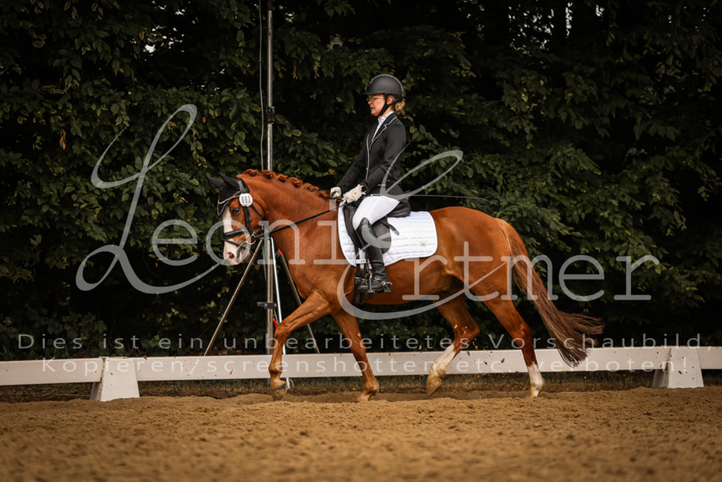 DoDrE00503 | Leoni Ertmer Photography - Realisiert mit Pictrs.com