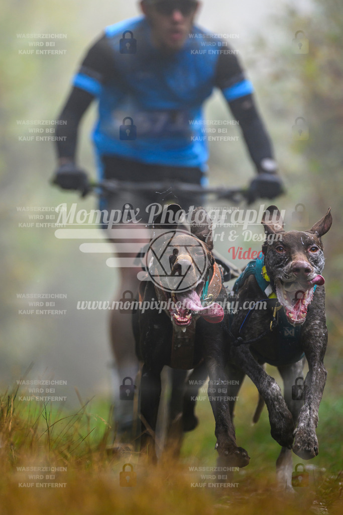 MompixPhotography_20TSB_E4_DS2-12 | PayLife