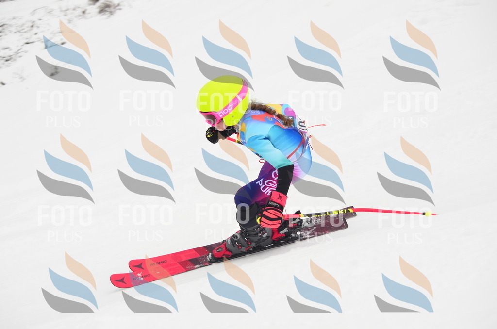 C1393 | holidayphoto