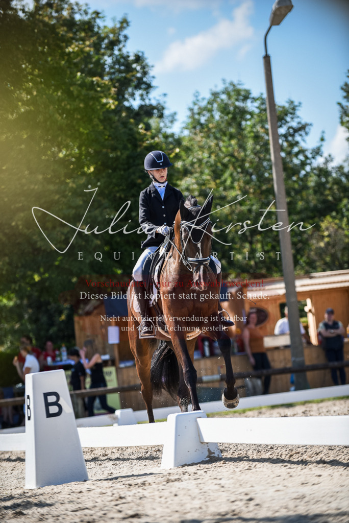 DSC_9609 | Pferde- und Turnierfotografie in Westsachsen. Pferdeportraits, Auftragszeichnungen und intuitive Kunst.