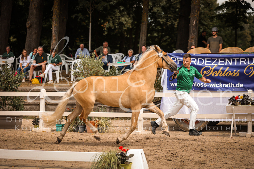 06.So00011 | Leoni Ertmer Photography - Realisiert mit Pictrs.com