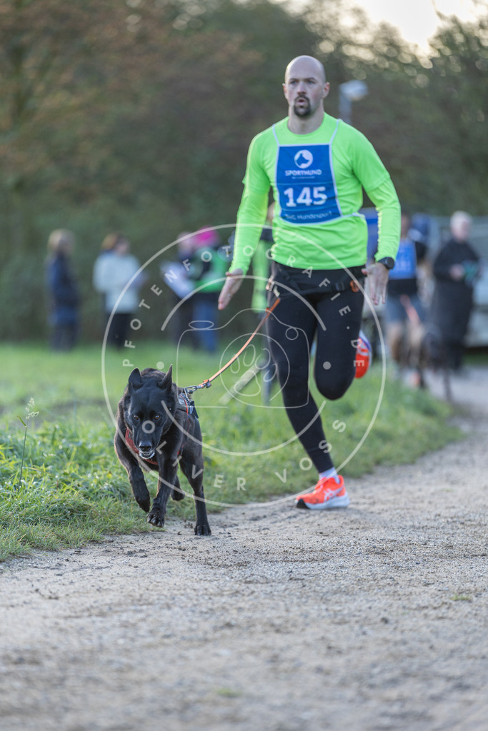 Pfotenfotografie.de_DV3A2781 | Hundefotografie, Tierfotograf, Pfotenfotografie, Fotoshooting Hund, Hunde Portrait, Hundesport, Hundeportraits, Heideshooting, Hunde, Sportfotograf, Hundefotograf, Turnierhundsport, THS, canicross - Realisiert mit Pictrs.com