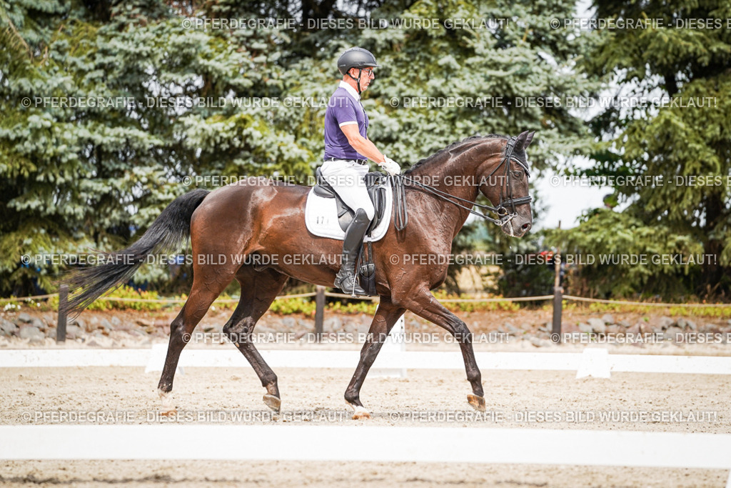 DSC06297 | Pferdegrafie