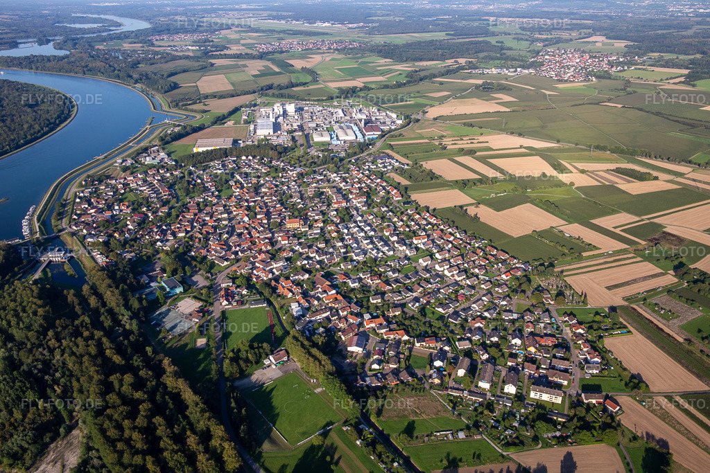 Luftbild: Ortsansicht von Süden im Ortsteil Greffern in Rheinmünster im Bundesland Baden-Württemberg in Deutschland. Foto: IMG_137766.jpg vom 18.08.2023 durch Werner Riehm/FLY-FOTO.de