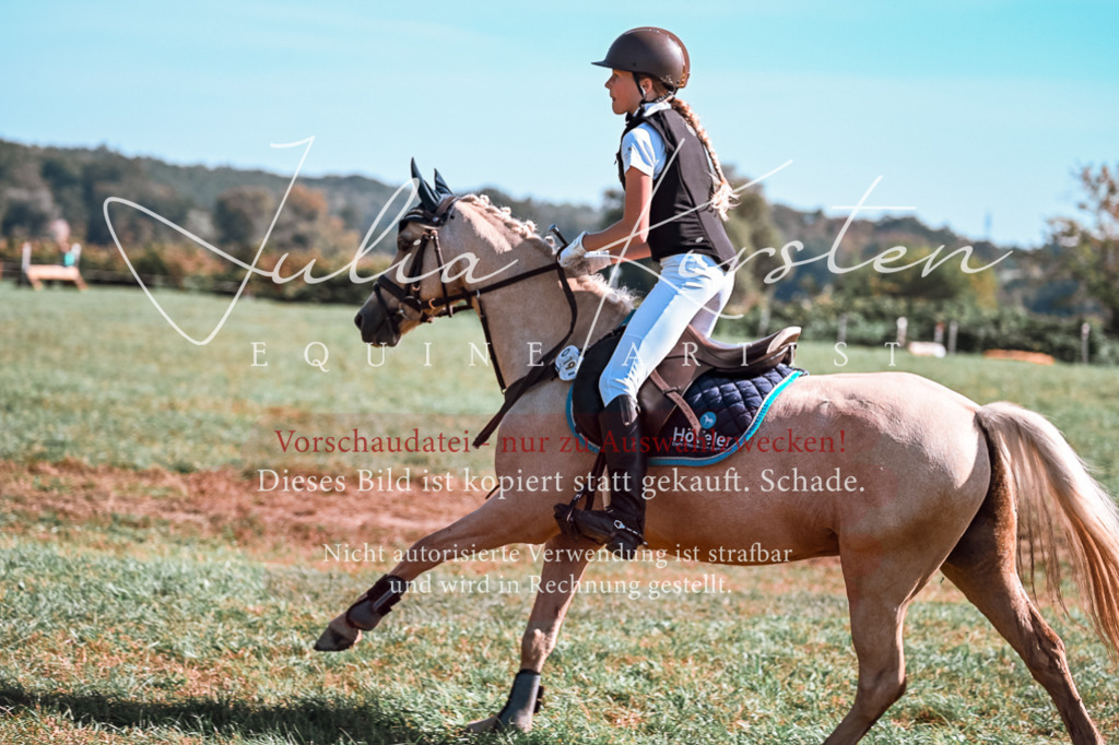 DSC_1056 | Pferde- und Turnierfotografie in Westsachsen. Pferdeportraits, Auftragszeichnungen und intuitive Kunst.