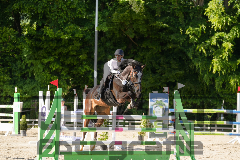 DSC02505 | Julian Held Fotografie - Realisiert mit Pictrs.com